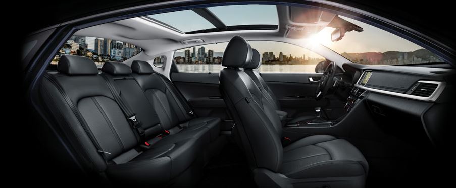 Optima Interior